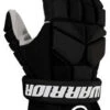 Warrior 2022 Fatboy Ball Hockey Gloves -Hockey Equipment Store FBG BK 1cdcb7f3 3ef4 4d23 9b44 ce1a4ac20b3e